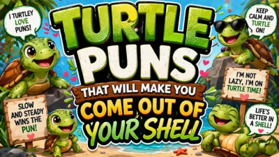 Turtle Puns That Will Make You Come Out of Your Shell